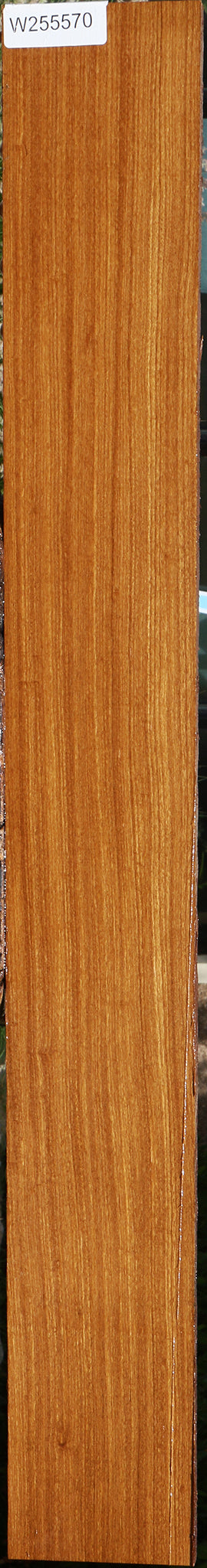 Afrormosia Lumber