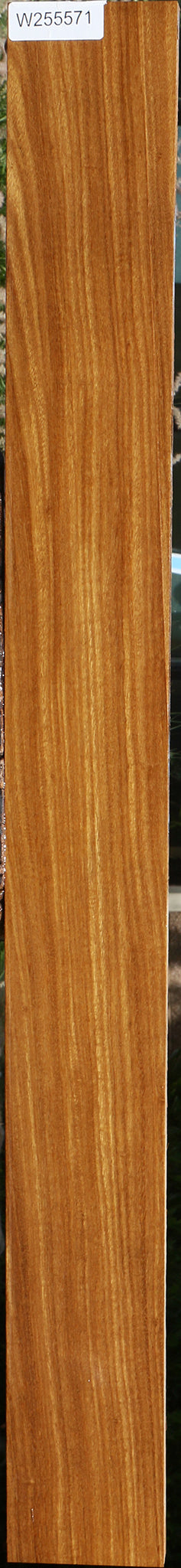Afrormosia Lumber