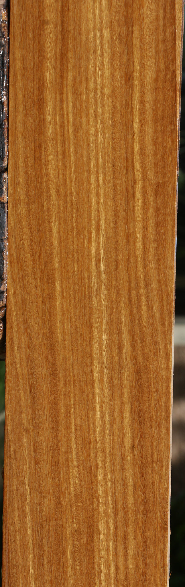 Afrormosia Lumber