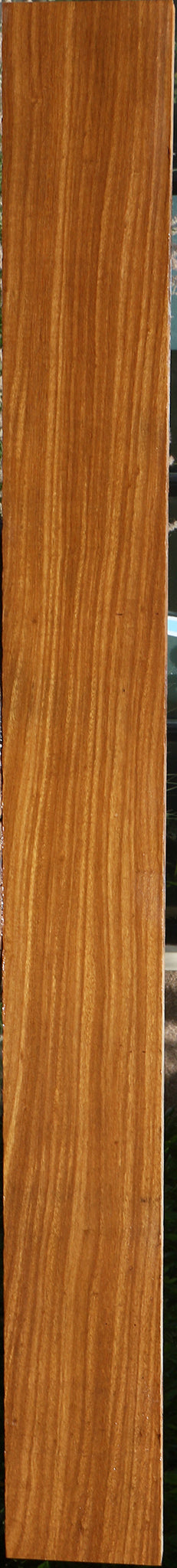 Afrormosia Lumber