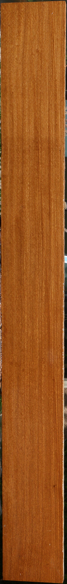 Afrormosia Lumber