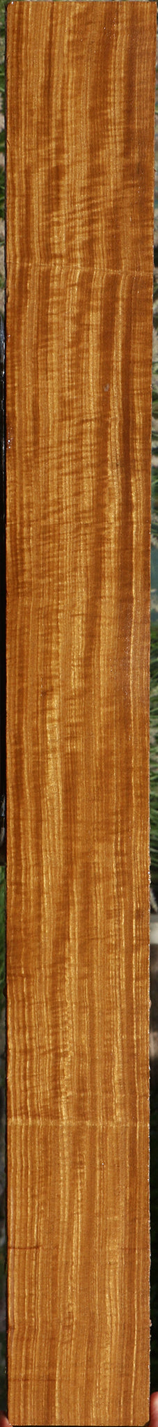 Extra Fancy Quartersawn Afrormosia Lumber