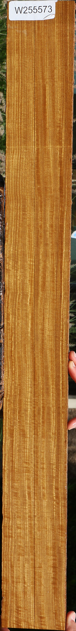 Extra Fancy Quartersawn Afrormosia Lumber