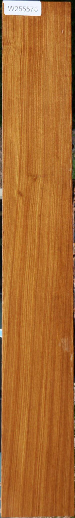 Afrormosia Lumber