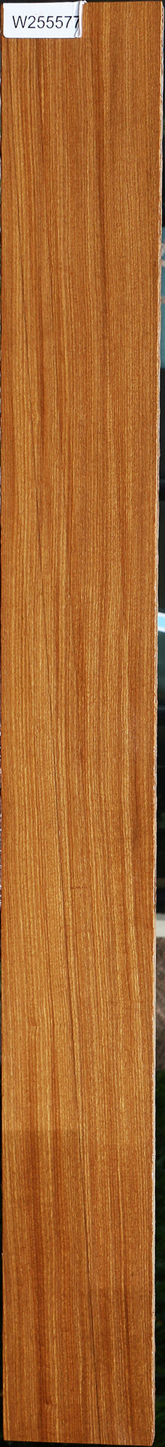 Afrormosia Lumber