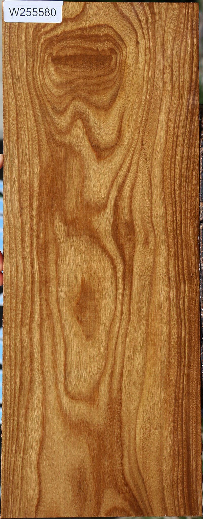 Afrormosia Lumber