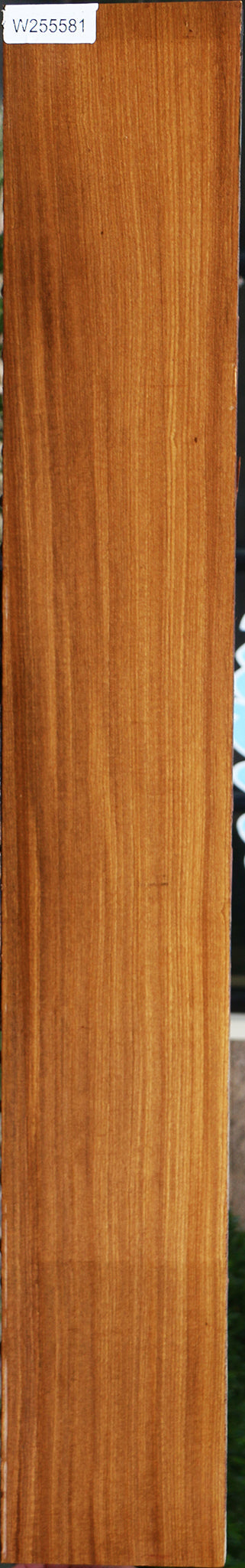 Quartersawn Afrormosia Lumber