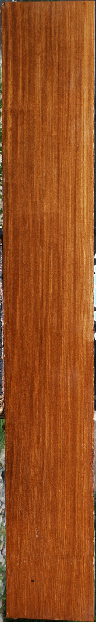 Quartersawn Afrormosia Lumber