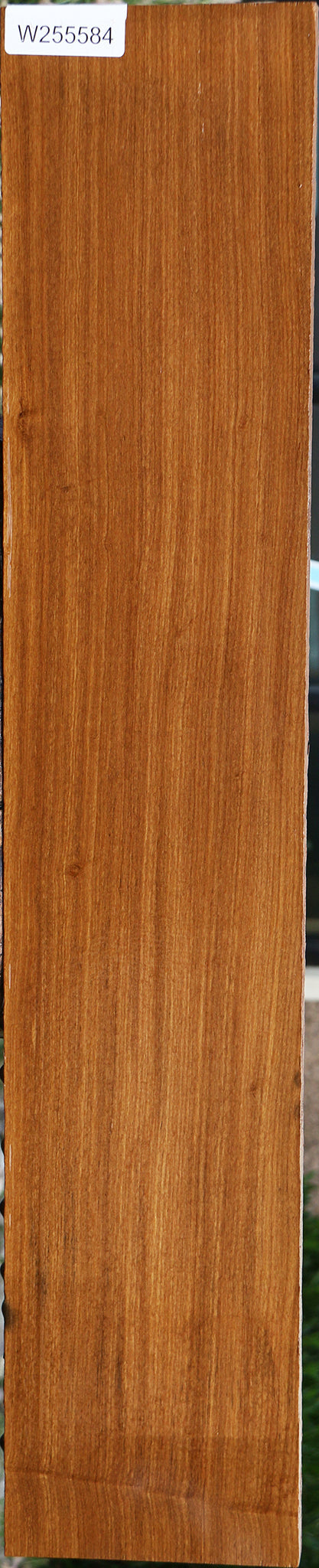 Afrormosia Lumber