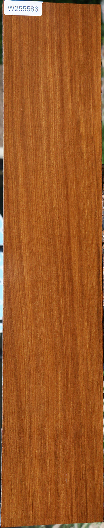 Afrormosia Lumber