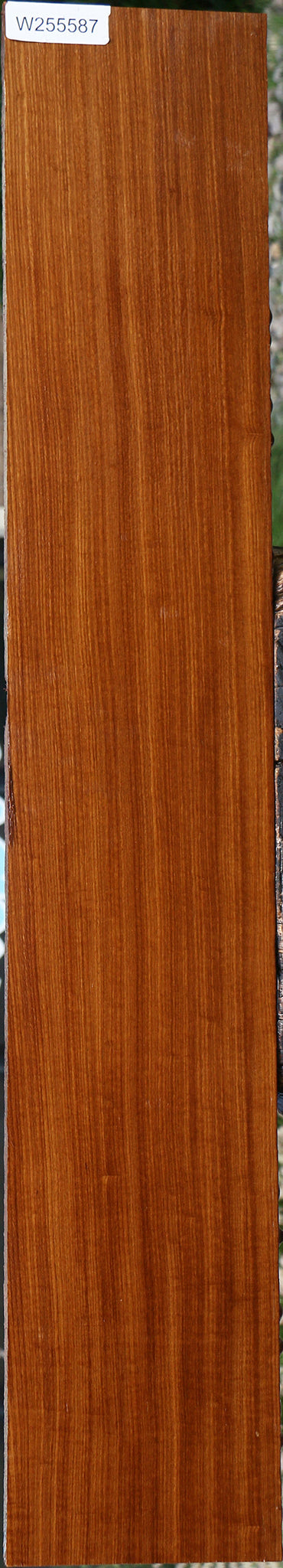 Quartersawn Afrormosia Lumber