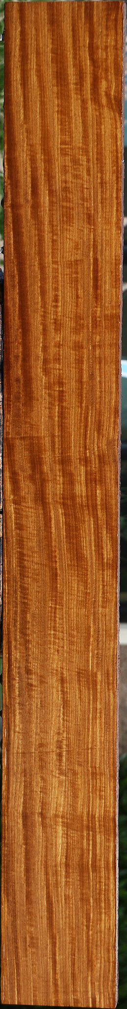 Extra Fancy Quartersawn Afrormosia Lumber