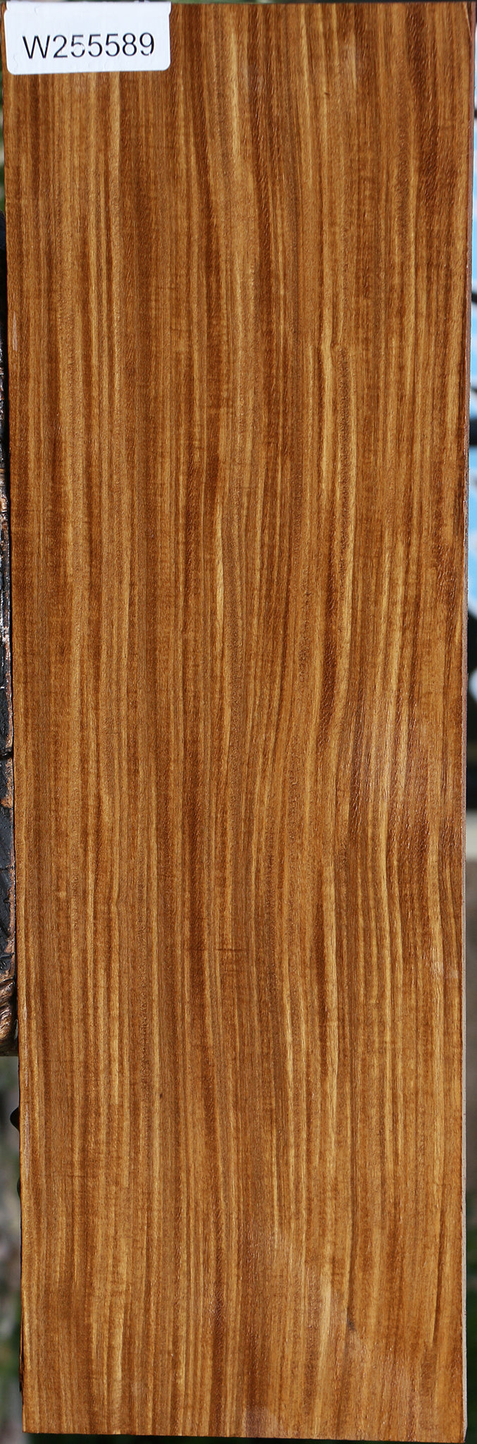 Extra Fancy Quartersawn Afrormosia Lumber