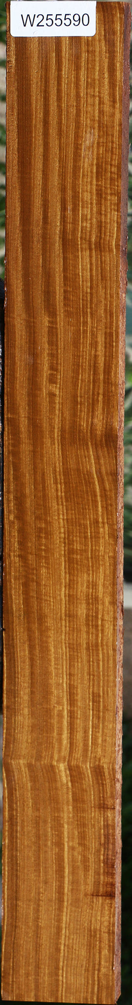 Extra Fancy Afrormosia Lumber