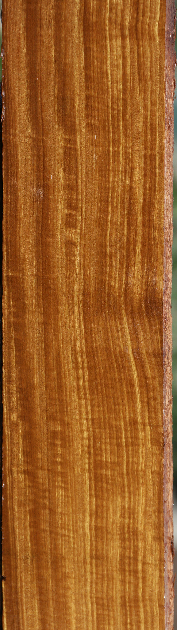 Extra Fancy Afrormosia Lumber