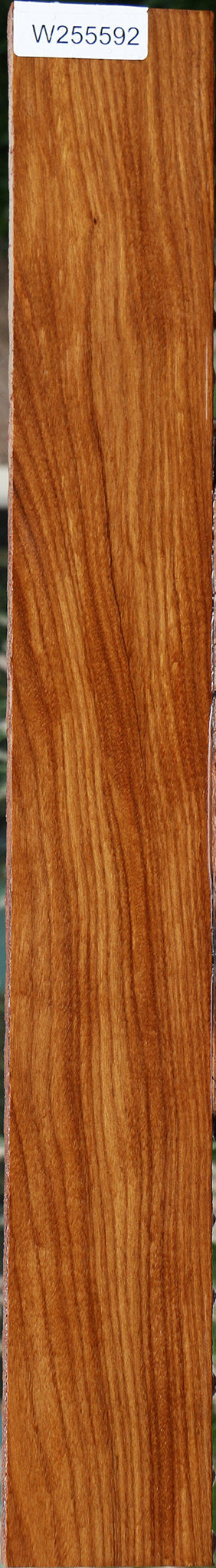 Afrormosia Lumber
