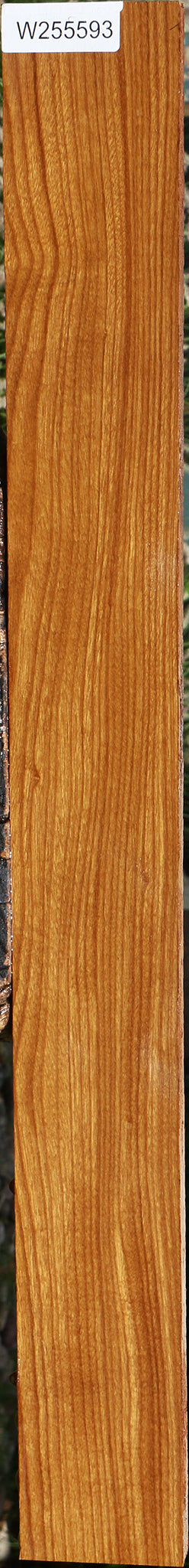 Afrormosia Lumber