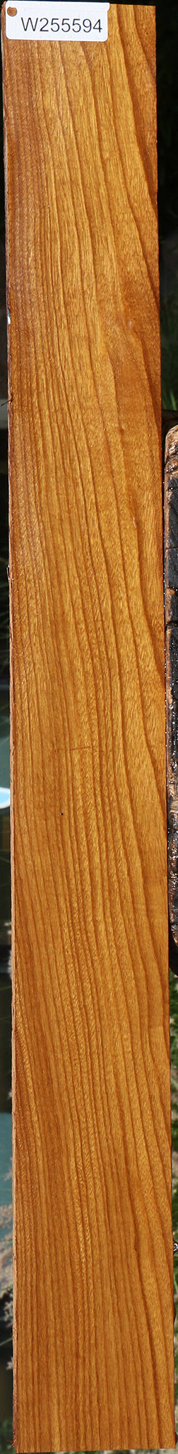 Afrormosia Lumber