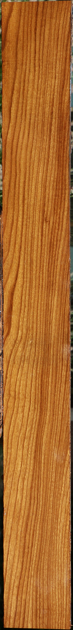 Afrormosia Lumber