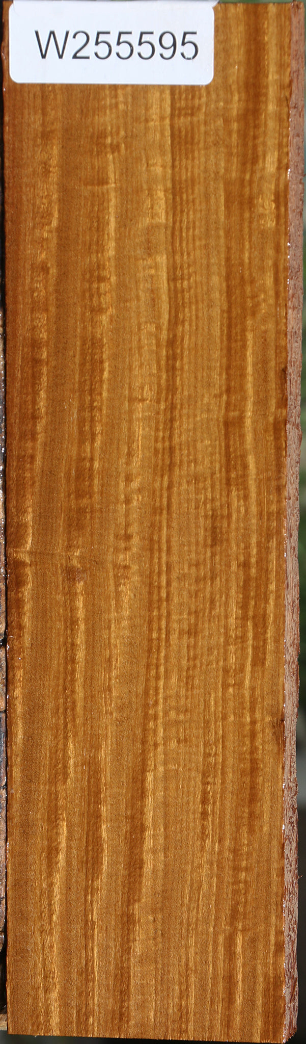 Extra Fancy Afrormosia Lumber