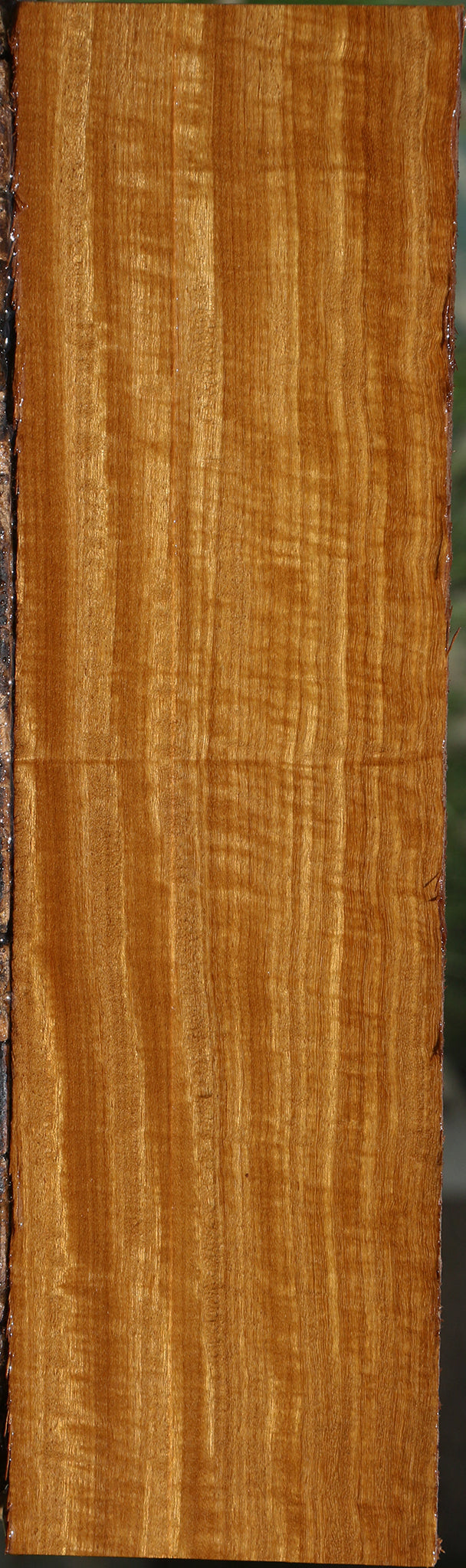 Extra Fancy Afrormosia Lumber