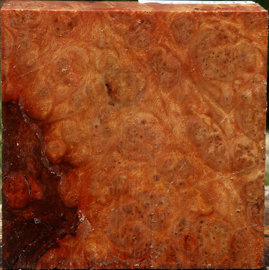 Afzelia Burl Bowl Blank