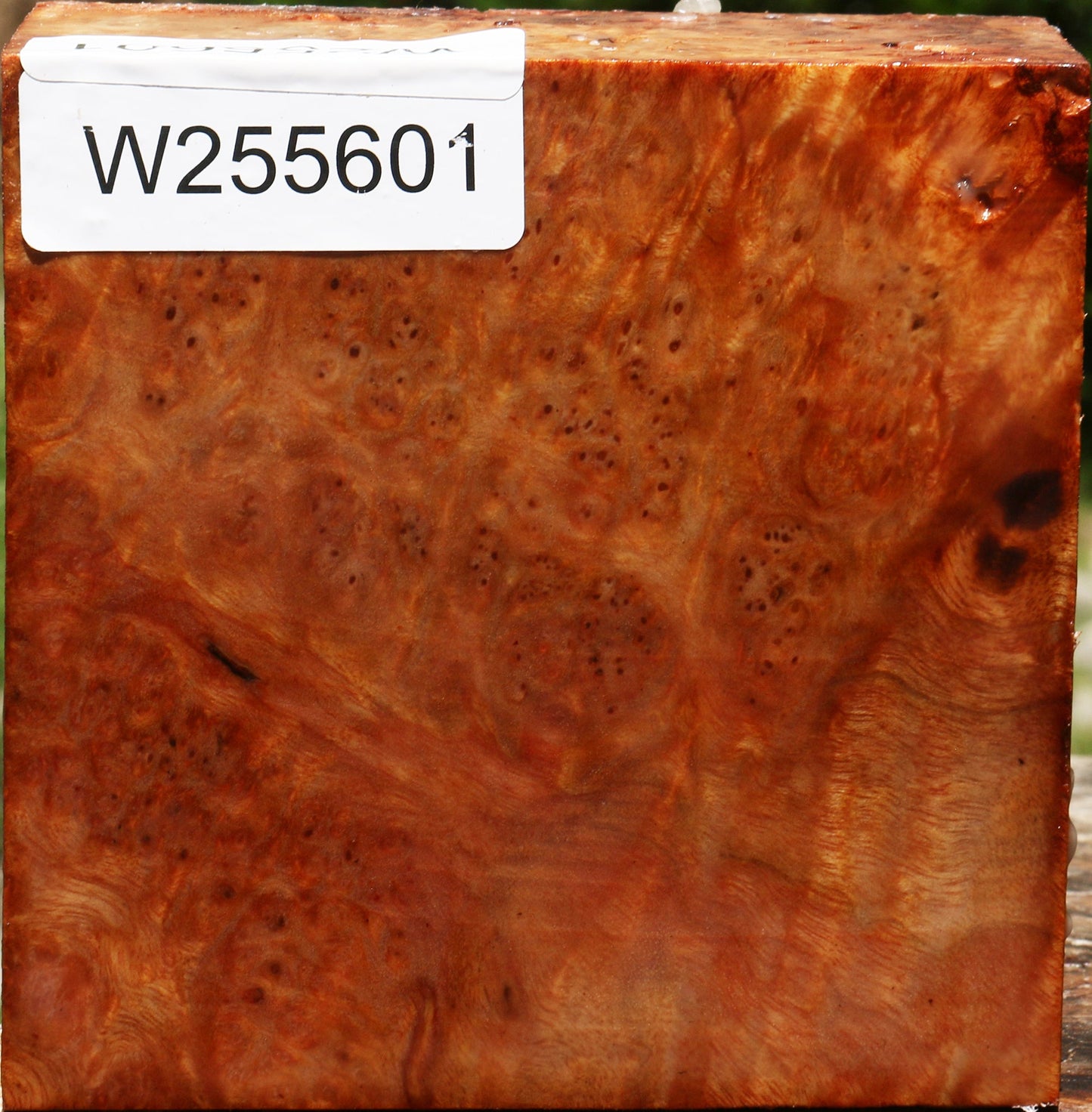 Afzelia Burl Bowl Blank