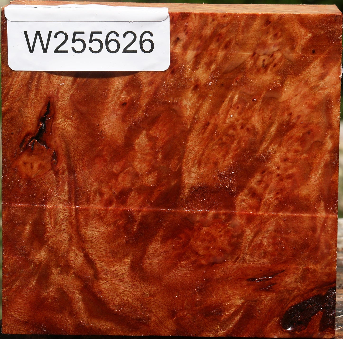 Afzelia Burl Bowl Blank