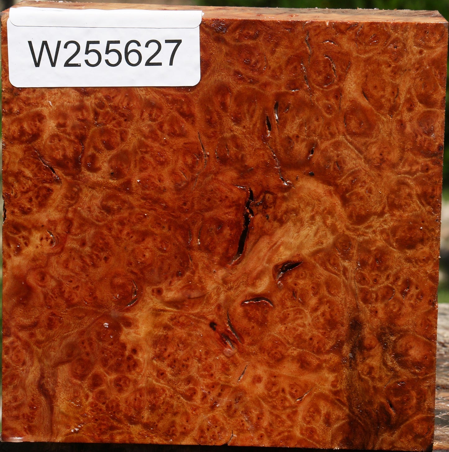 Afzelia Burl Bowl Blank