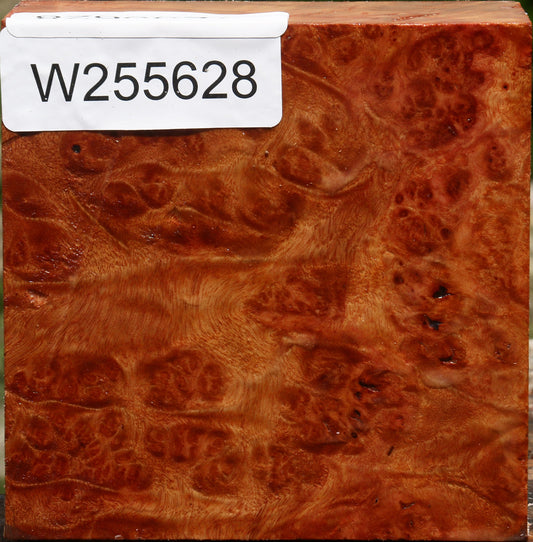 Afzelia Burl Bowl Blank