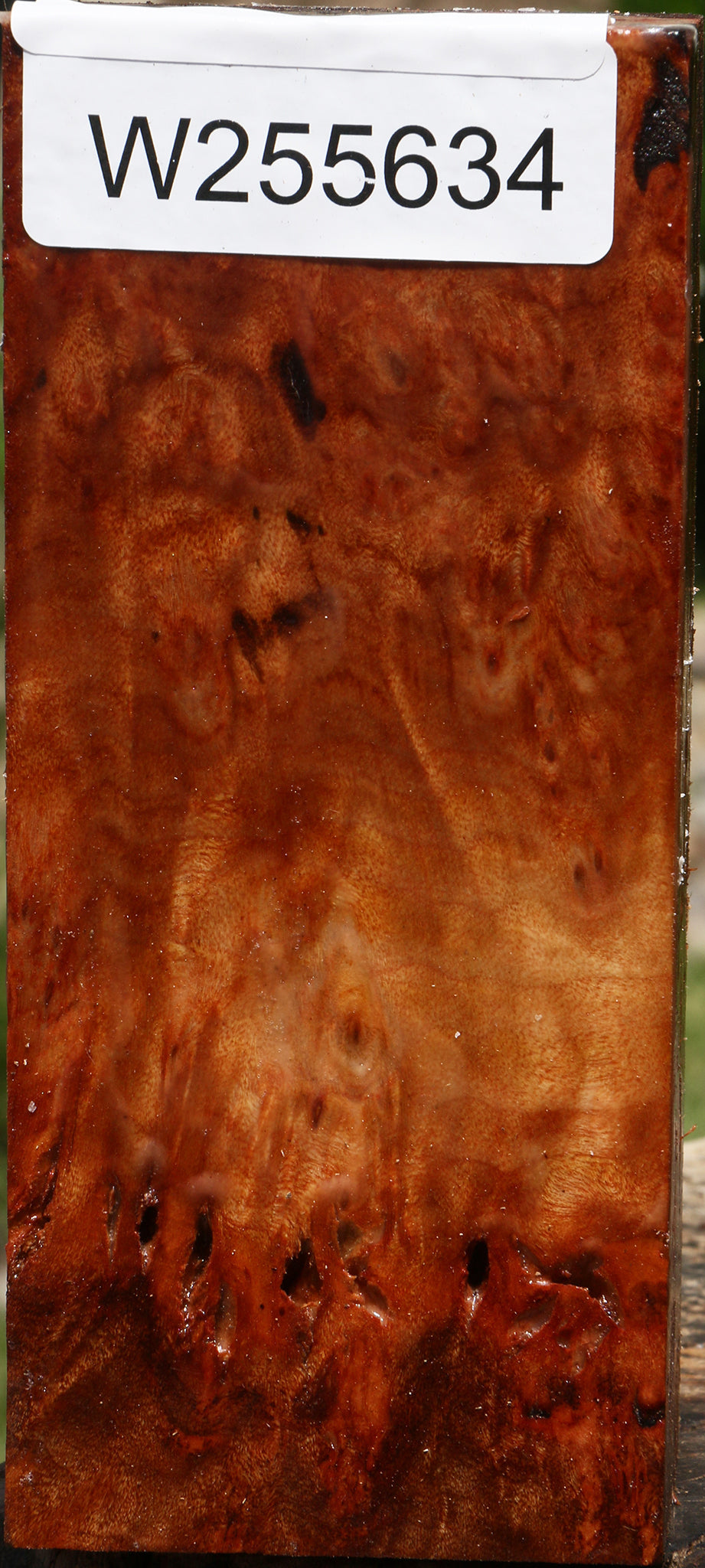 Rustic Afzelia Burl Turning Blank