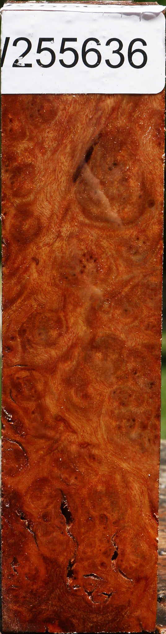 Afzelia Burl Turning Square