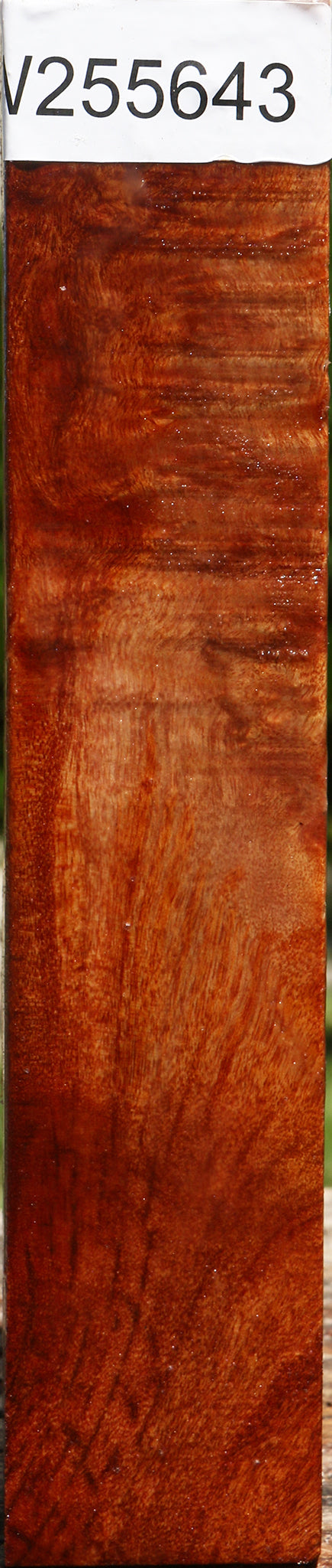 Camphor Burl Turning Square