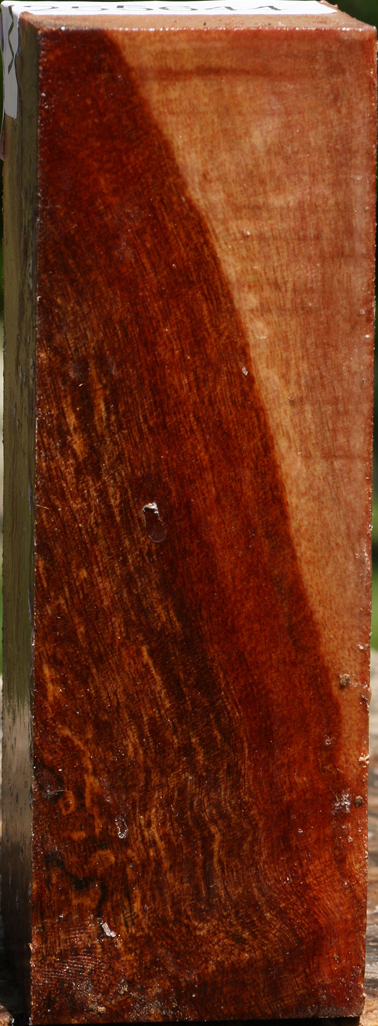Camphor Burl Turning Square