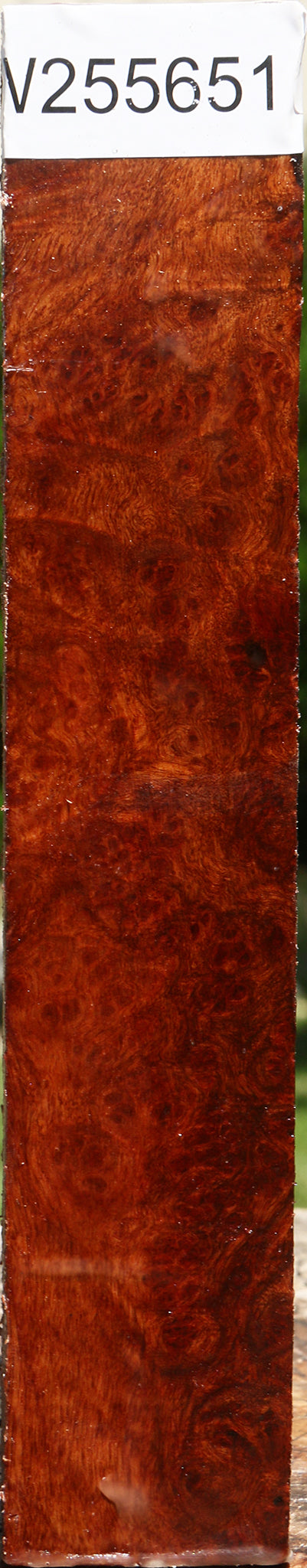 Afzelia Burl Turning Blank