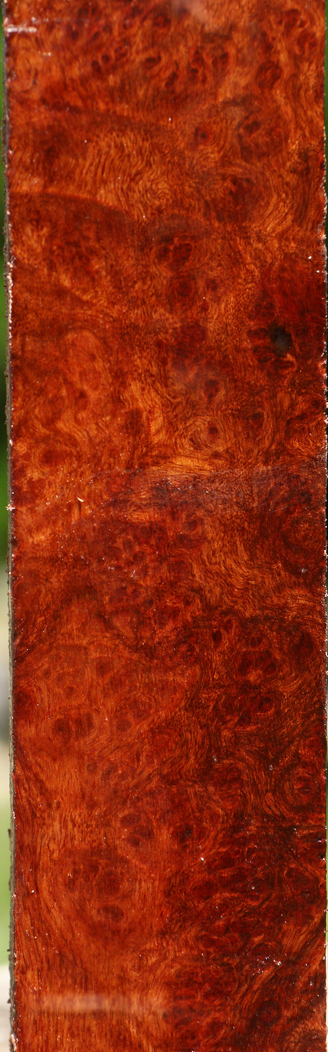 Afzelia Burl Turning Blank