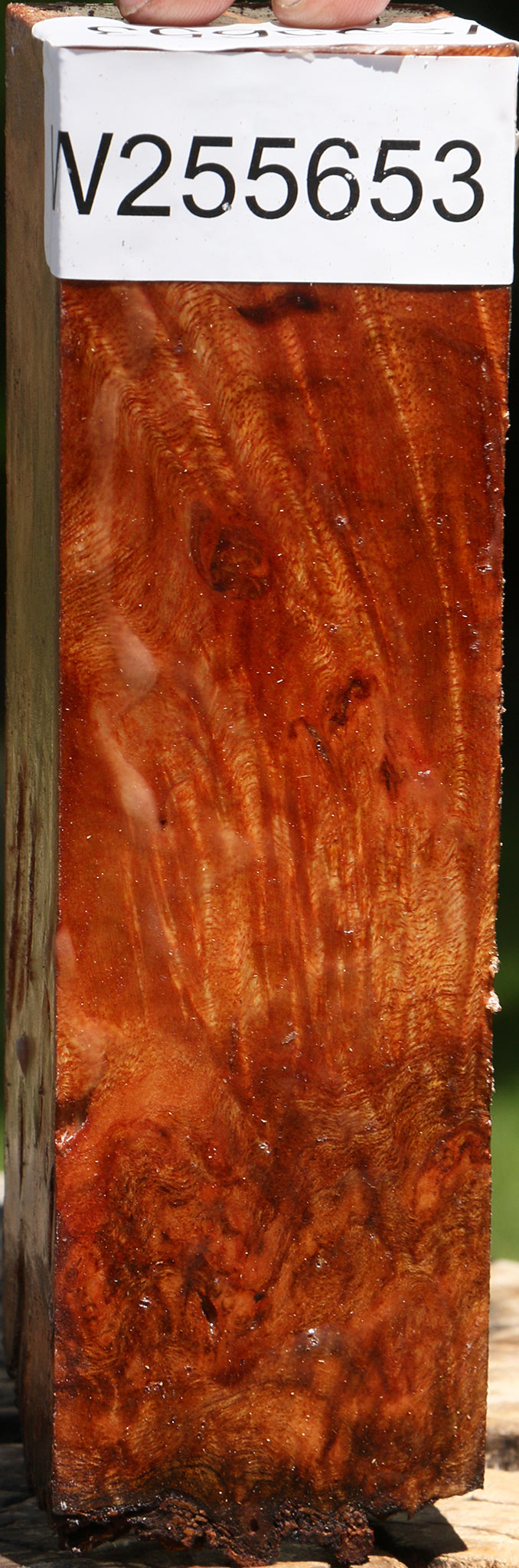 Camphor Live Edge Turning Square