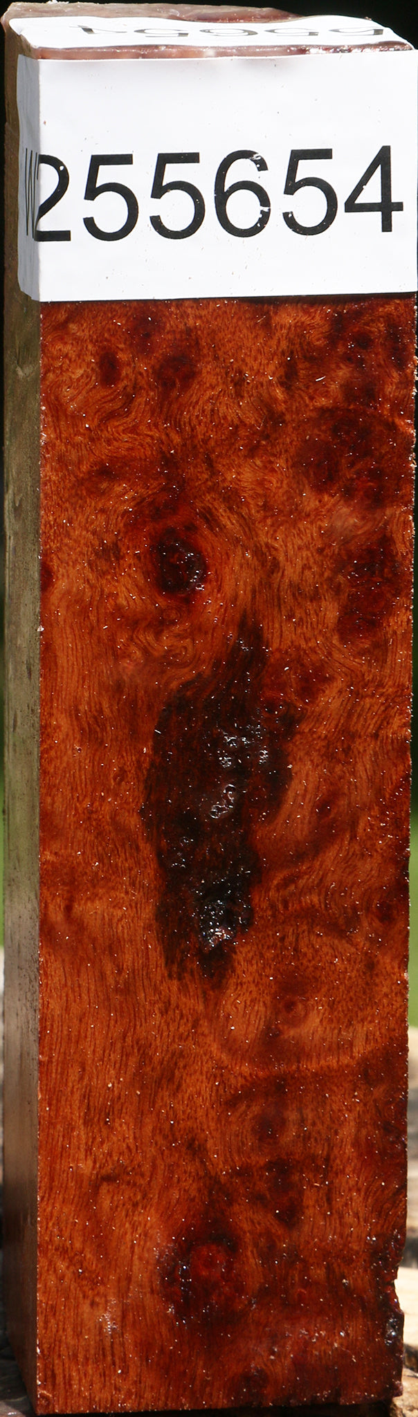 Rustic Camphor Burl Turning Square