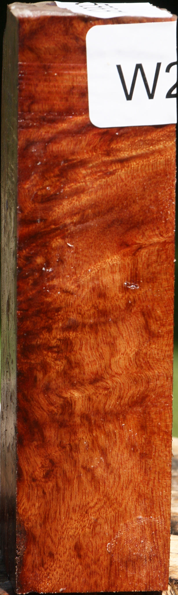 Rustic Camphor Burl Turning Square