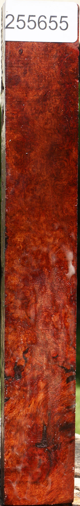 Rustic Afzelia Burl Turning Blank