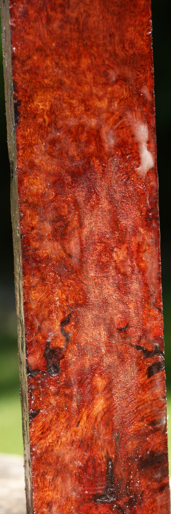 Rustic Afzelia Burl Turning Blank