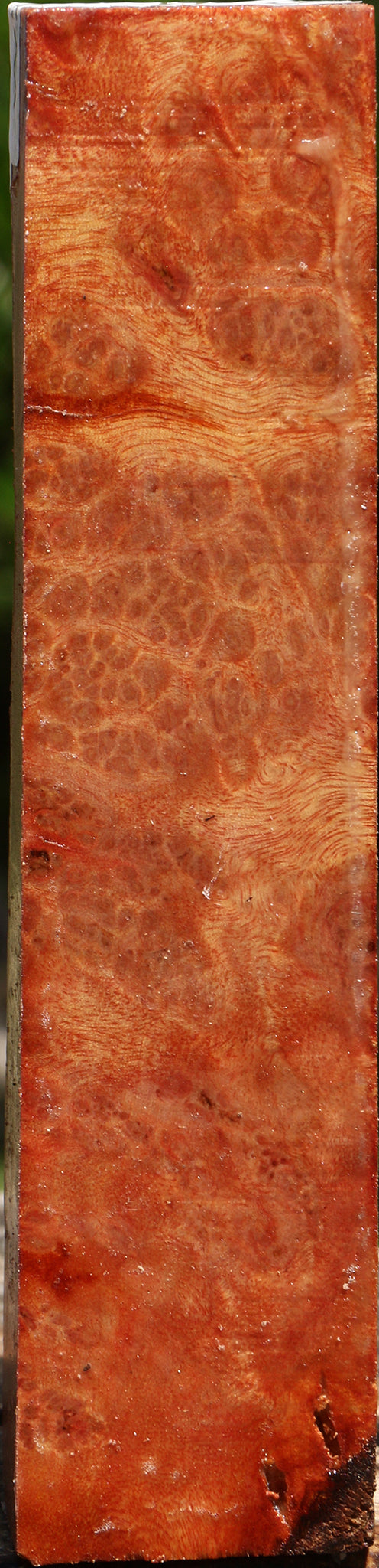 Afzelia Burl Turning Square