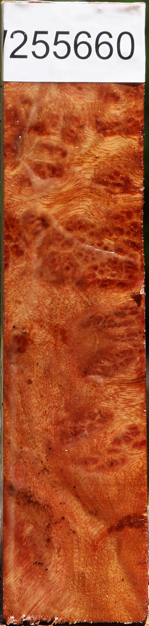 Afzelia Burl Turning Square