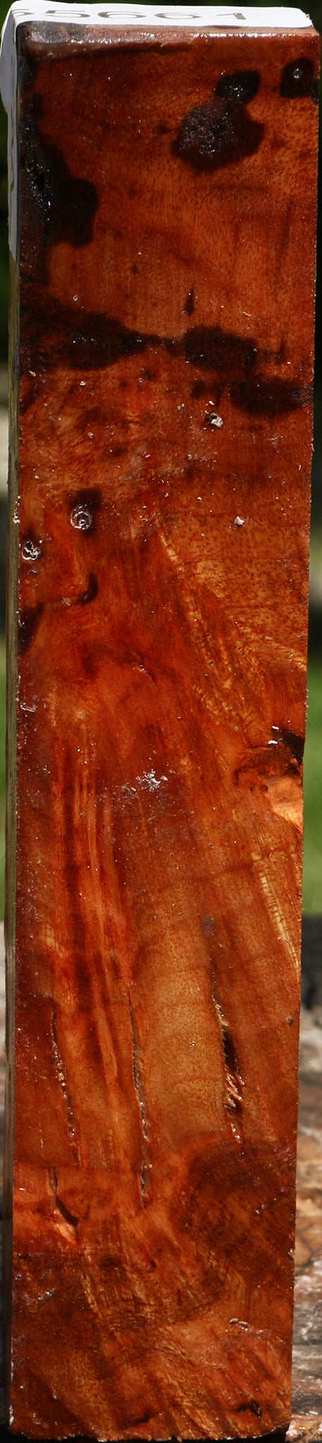 Rustic Almond Burl Turning Square
