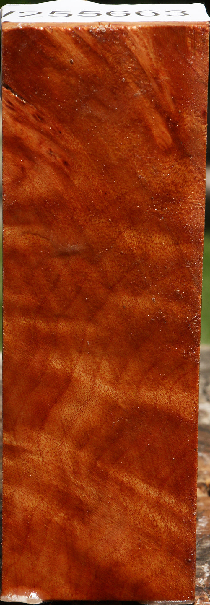 Camphor Turning Blank