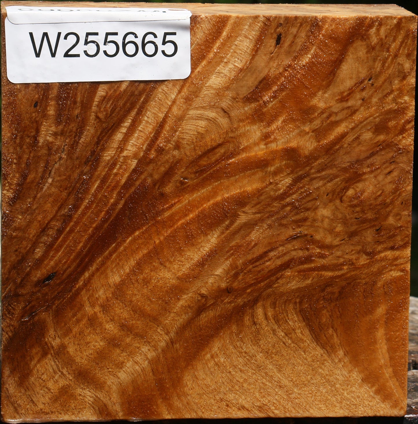 Almond Burl Bowl Blank