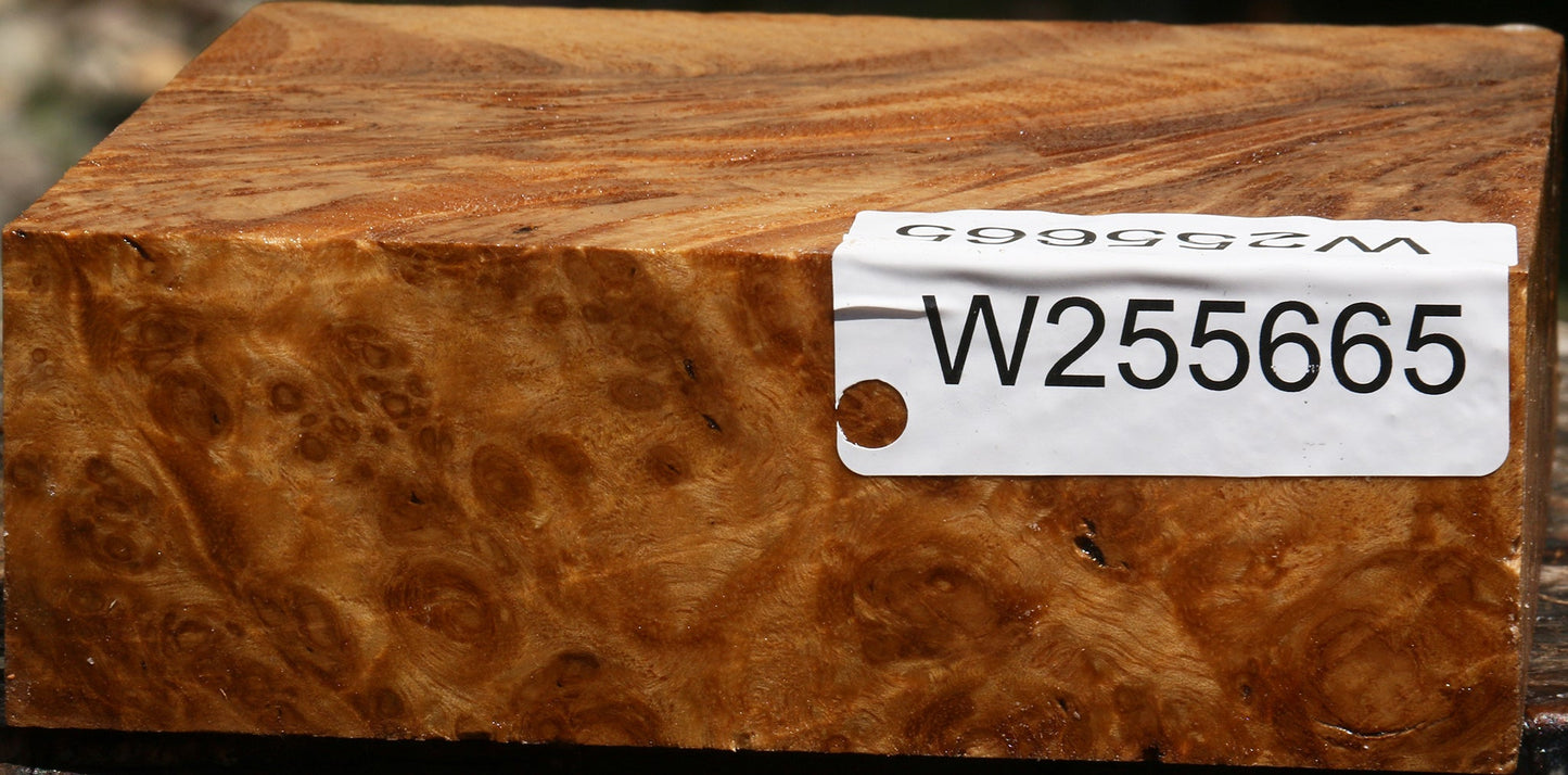 Almond Burl Bowl Blank