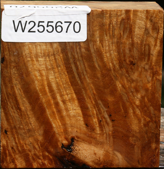 Almond Burl Bowl Blank
