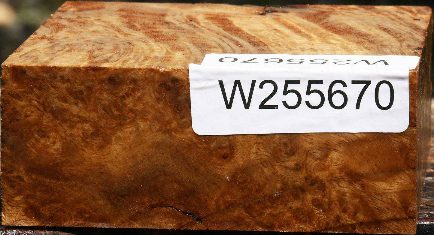 Almond Burl Bowl Blank