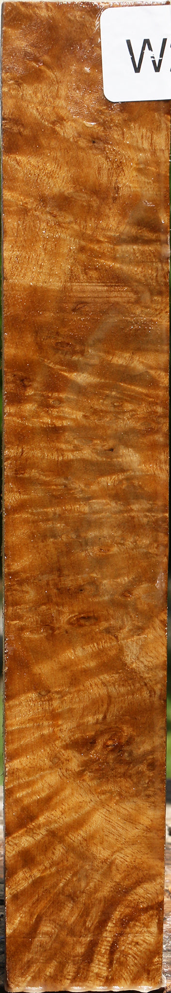 Almond Burl Turning Square